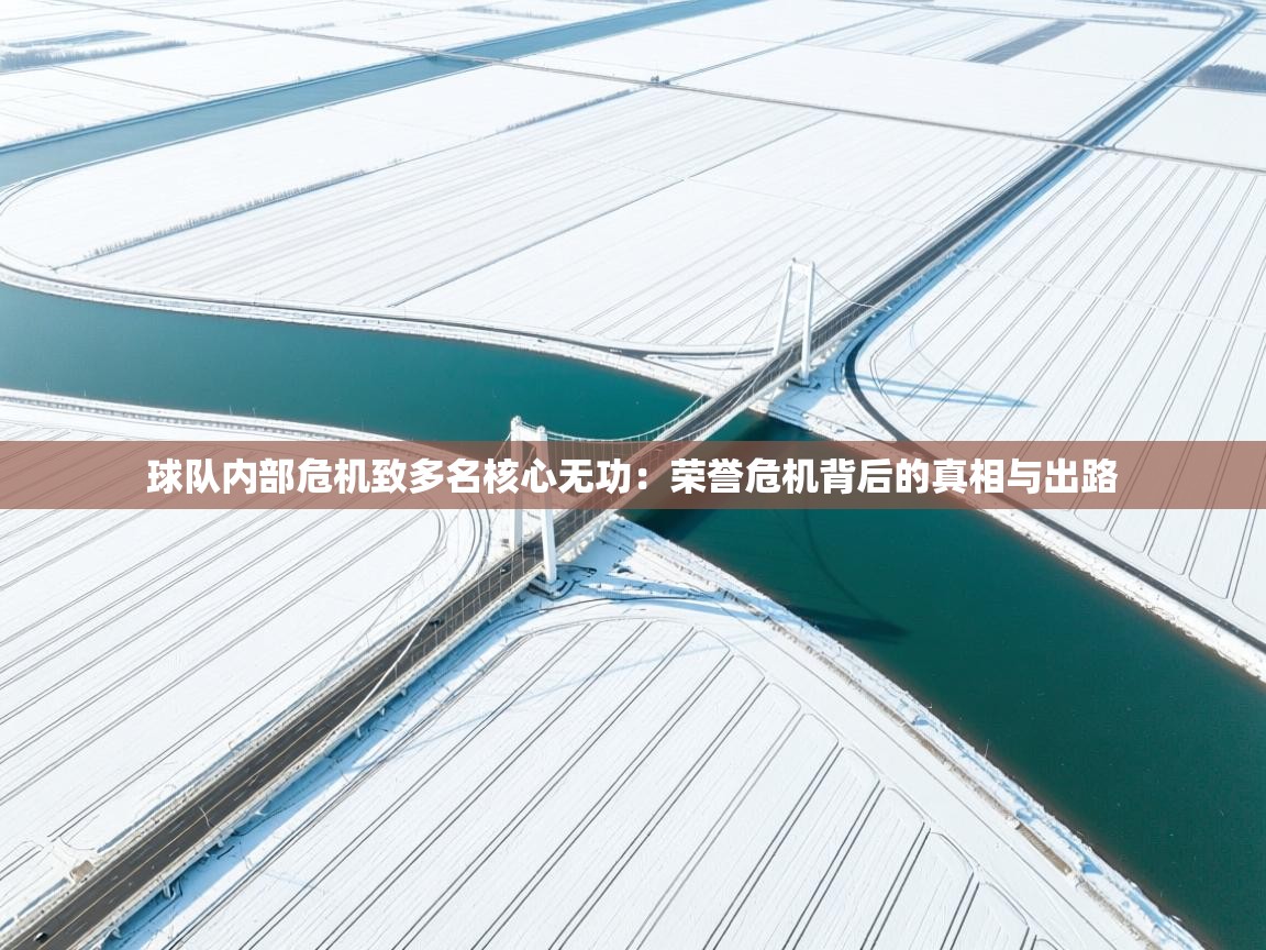 球队内部危机致多名核心无功:荣誉危机背后的真相与出路 第2张